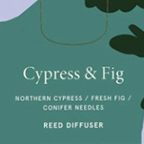 CYPRES FIG