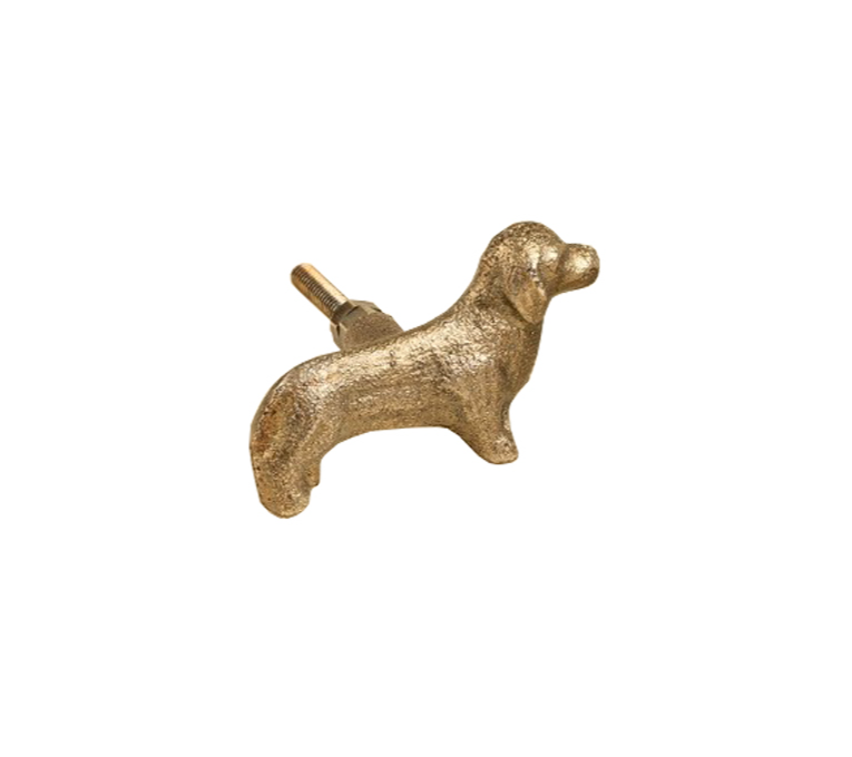 DACHSHUND DOG