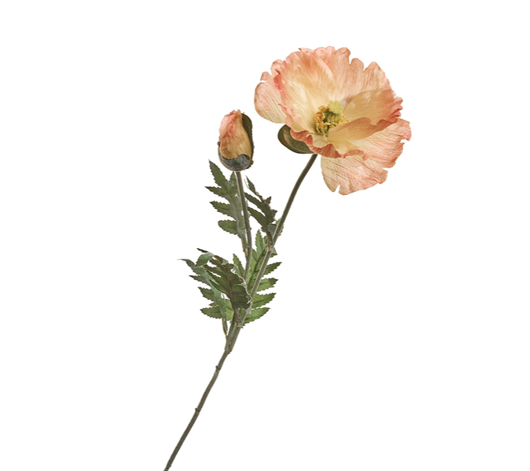 POPPY