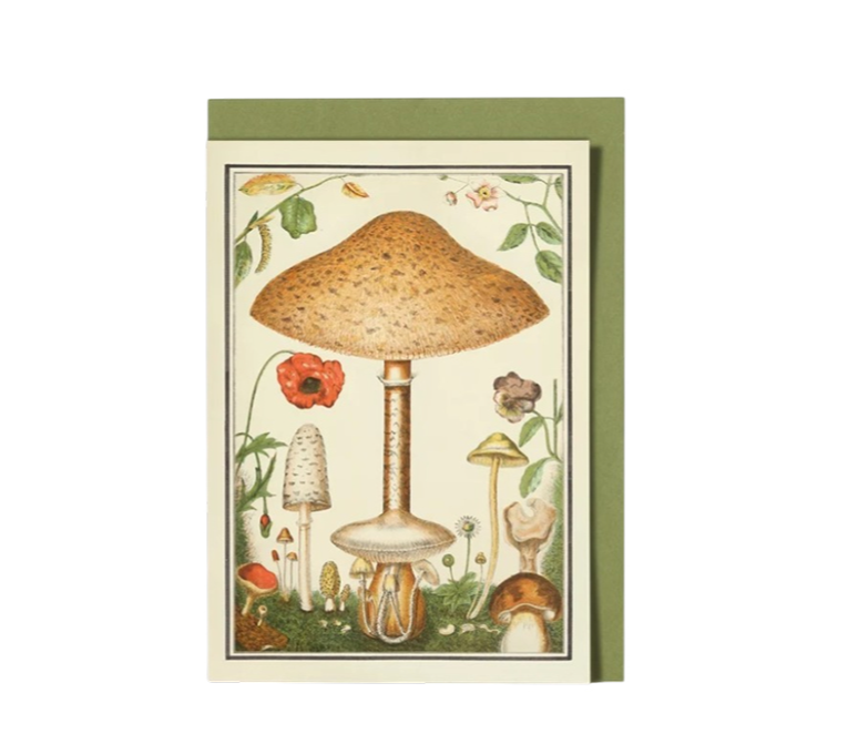 FUNGI